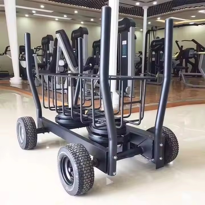 헬스 장비 피트니스 풀 푸시 파워 트레이닝 웨이트 플레 - Fitness Equipment 리뷰 및 가격